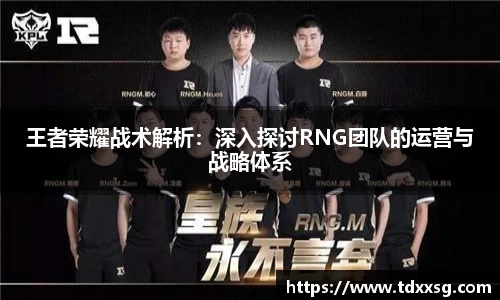 王者荣耀战术解析：深入探讨RNG团队的运营与战略体系
